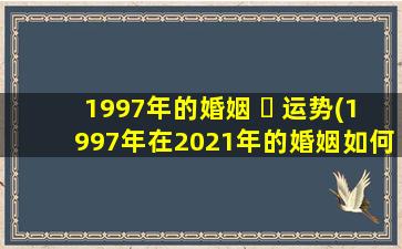 1997年的婚姻 ☘ 运势(1997年在2021年的婚姻如何)